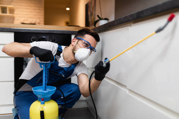 Professional Pest Control in Pike Creek, DE