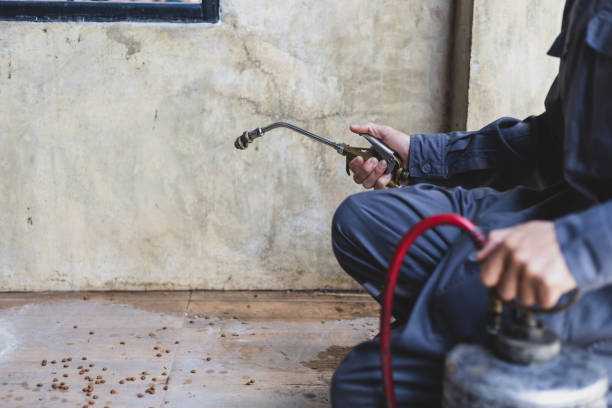 Best Affordable Pest Control Services  in Pike Creek, DE